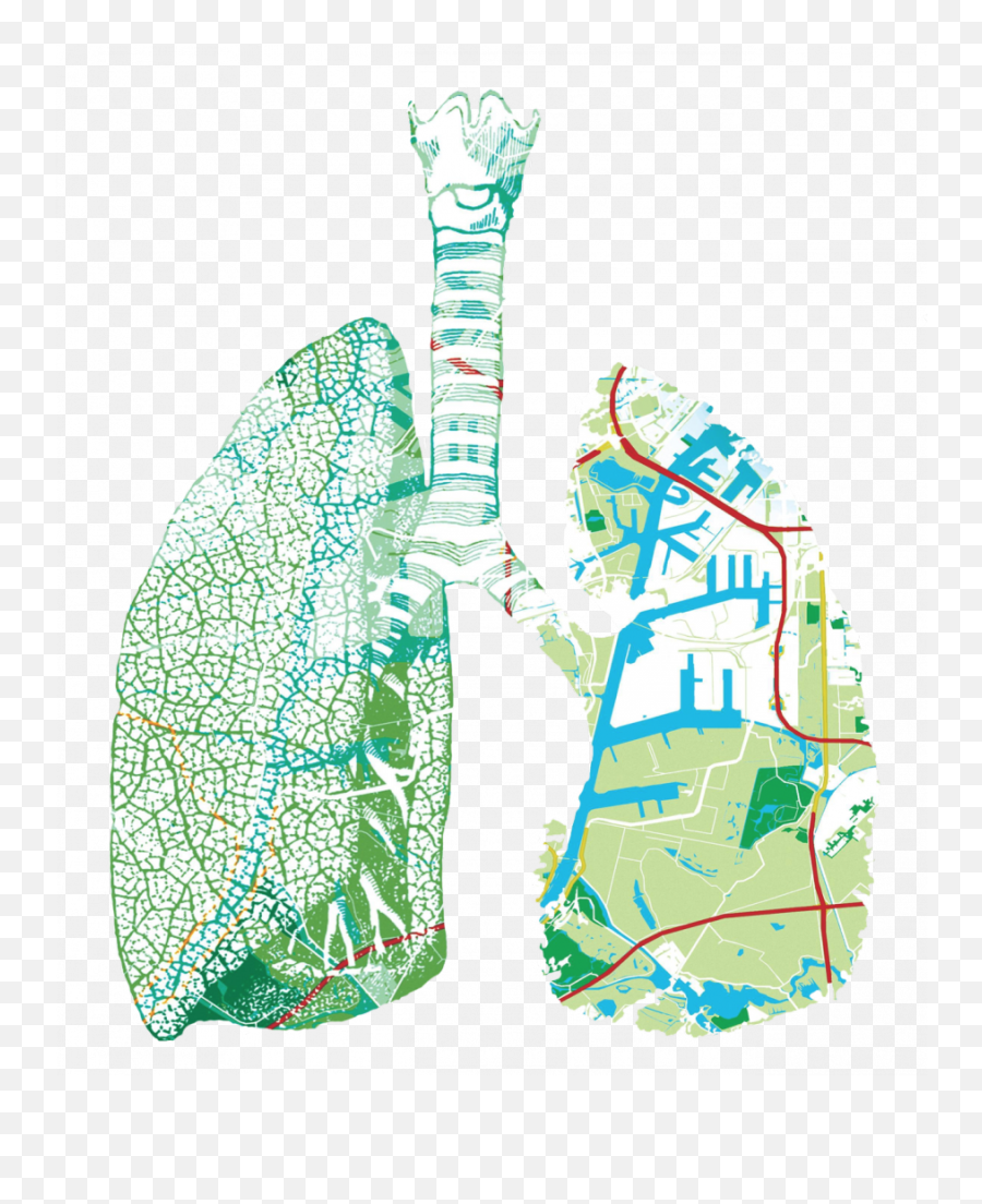 Lungspng Adm - Westpoort,Lungs Png