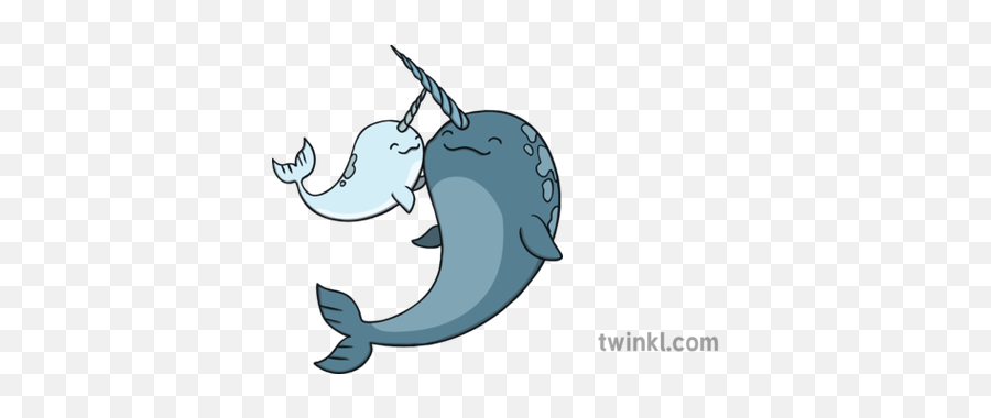 Cute Narwhal And Young Sea Animal Parents Ks1 Illustration - Colouring Pages Cute Narwhal Png,Narwhal Png