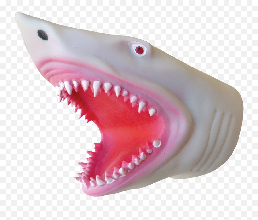 Download Puppet - Rubber Shark Hand Puppet Full Size Png Shark Puppets For Sale,Shark Transparent Background