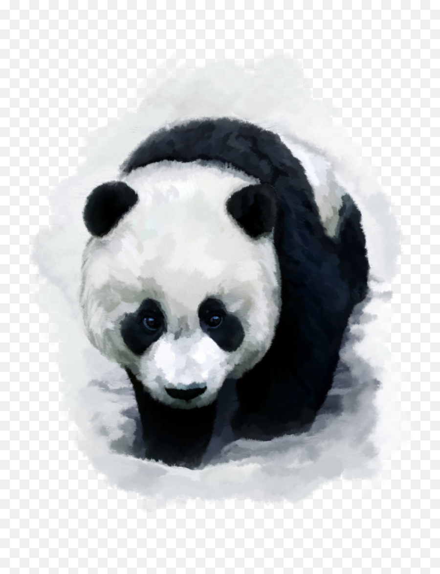 Red Panda Desktop Wallpaper Baby Pandas - Trail Of The Panda Png,Red Panda Transparent