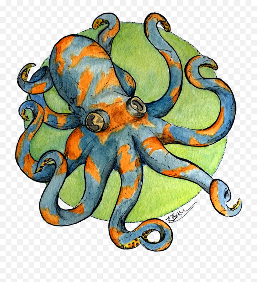 Illustration U2014 Kendall Brier - Octopus Png,Octopus Png