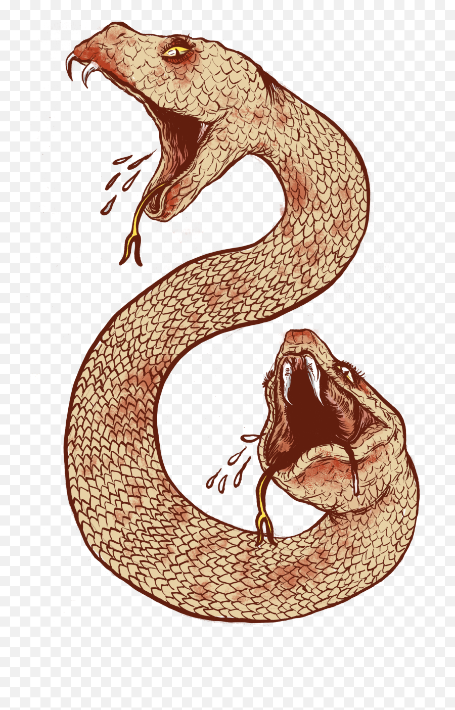 Download Snake Tattoo Clipart Ancient - Amphisbaena Png Mythical Creature Amphisbaena,Snake Tattoo Transparent