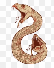 Download Snake Tattoo Clipart Ancient - Amphisbaena Png Mythical Creature Amphisbaena,Snake Tattoo Transparent