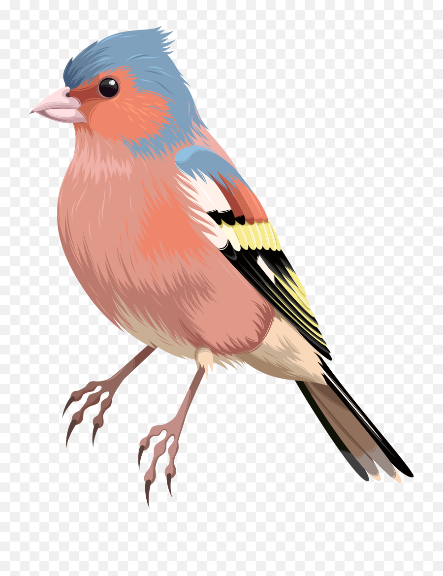 Bird Png Clip Art - Clipart Bird Png,Bird Clipart Png