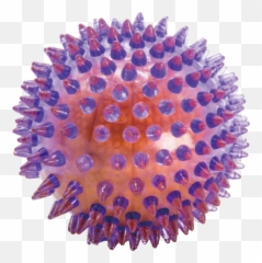 Tpr - Engranajes De 50 Dientes Png,Dog Toy Png