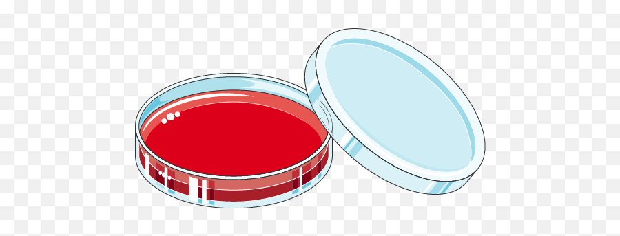 Petri Dish - Servier Medical Art Petri Dish Clipart Png,Dish Png