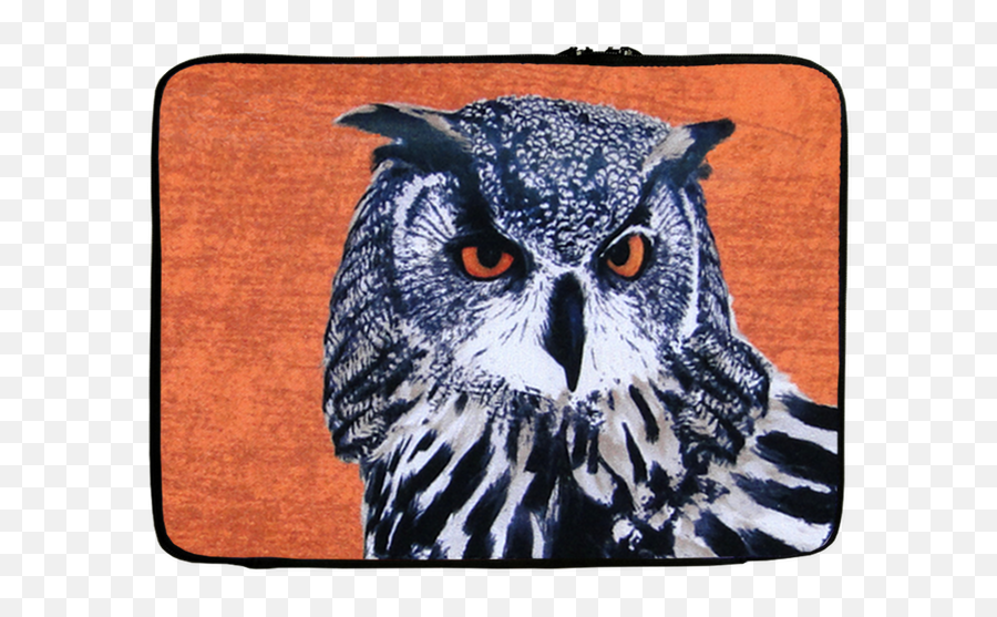 Owl Hedwig Laptop Casing - Your Favourite Eagle Owl Png,Hedwig Png