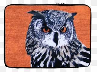 Owl Hedwig Laptop Casing - Your Favourite Eagle Owl Png,Hedwig Png