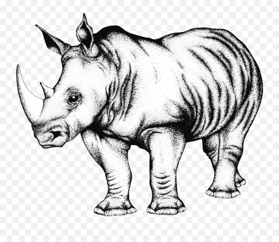 The Black Rhino U2014 Brand By Clothing - Drawing African Rhino Face Png,Rhinoceros Png