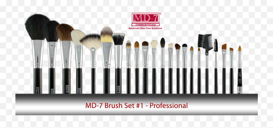 Download Professional Makeup Brush Set - Makeup Brush Set Png,Makeup Brush Png
