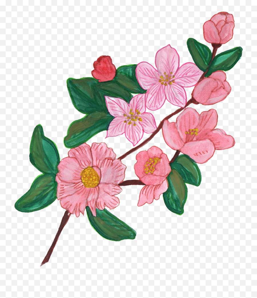 8 Paint Flower Ornament - Flowers Images Painted Png,Painted Flowers Png