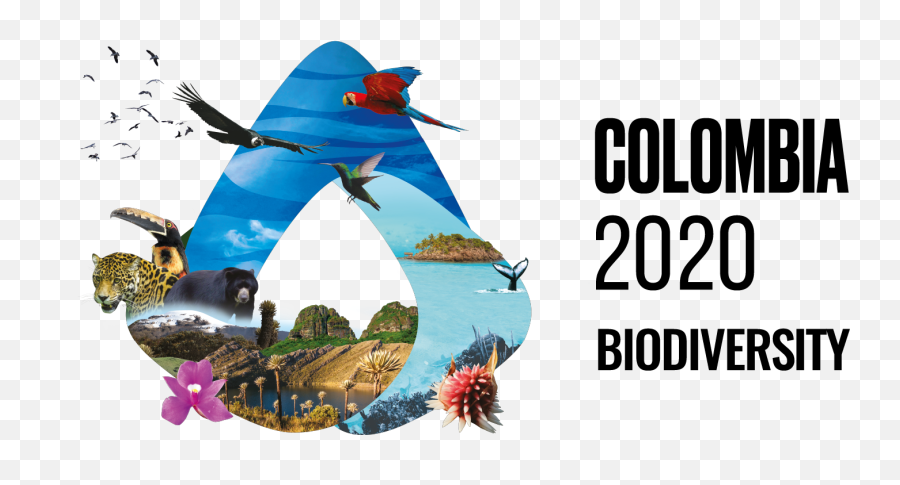 Colombia - World Environment Day 2020 Theme Biodiversity Png,Colombia Png