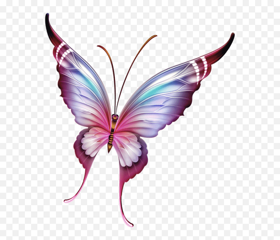Butterfly Gif Png 5 Images Download - Cross Stitch Butterfly Wedding Patterns Free,Butterfly Gif Transparent
