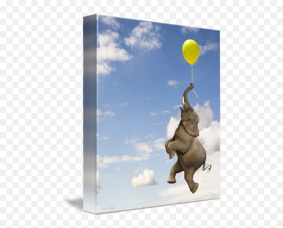 Elephant Grasping The Balloon String Floating Up By Stephanie Roeser - Funny Elephant Png,Balloon String Png