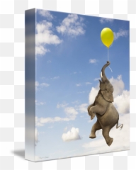 Elephant Grasping The Balloon String Floating Up By Stephanie Roeser - Funny png