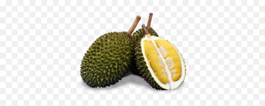 Beho Fresh U2013 From Malaysia - Musang King Durian Png,Durian Png