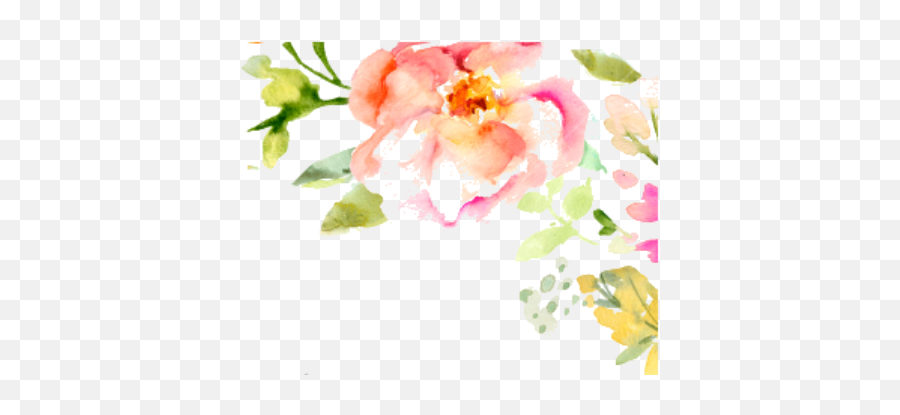 Download Sonja Is An Animated Enthusiastic Energetic - Clip Art Watercolor Flowers Png,Transparent Flower Border Tumblr