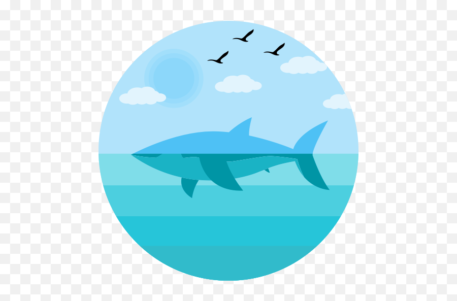 Flat Multicolor Shark Icon - Shark Icon Blue Png,Shark Icon