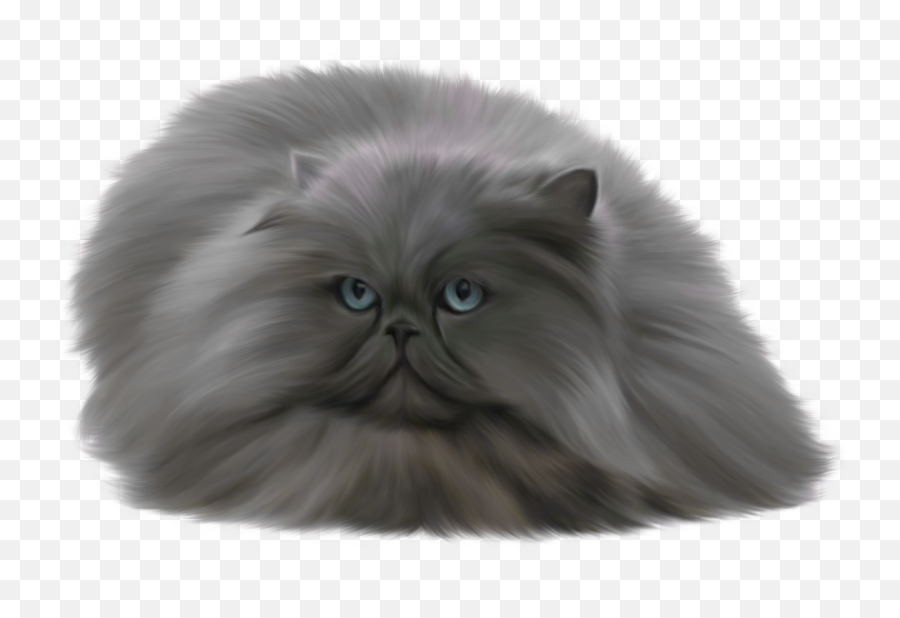Cats Png Free Images Download - Persian Ragdoll Siamese Cat,Cat With Transparent Background