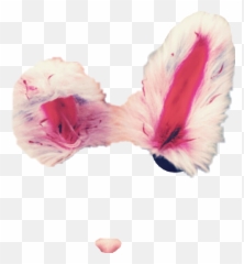 Fluffy Snapchatfilter Rabbit Ears - Bunny Filter Png