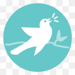Sleeping Clipart Soft Sound - Bee Hummingbird png