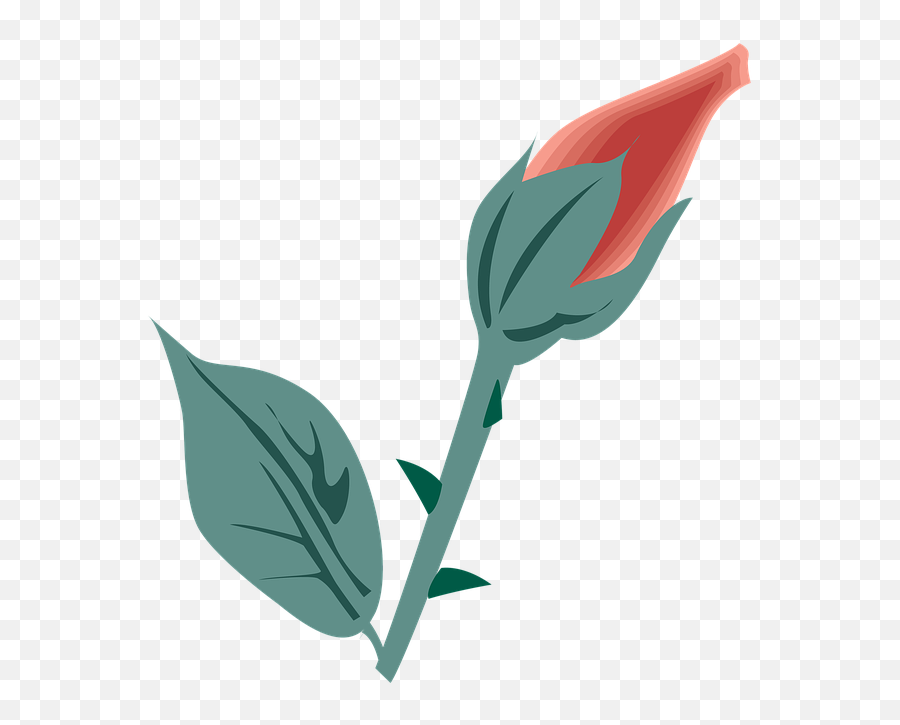 Flower Symbol Icon - Free Image On Pixabay Tulip Png,Blue Flower Icon