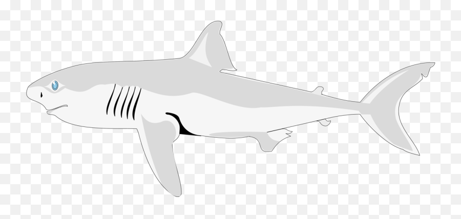 Shark Fish Clipart Png Free Download - Shark Clipart Black Background,Shark Clipart Transparent Background