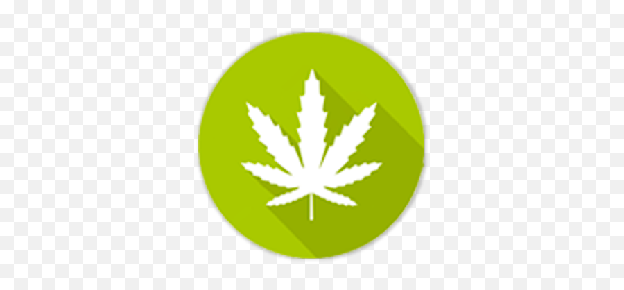 Hexo Corp Archives - The Cannabis And Psychedelics Stock Hemp Png,Colorado Leafs Icon
