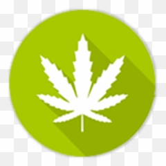 Hexo Corp Archives - The Cannabis and Psychedelics Stock Hemp png
