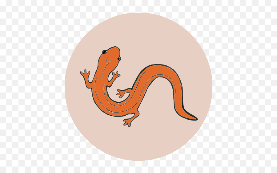 Stronach Park U2013 Earth Adventures - Animal Figure Png,Salamander Icon