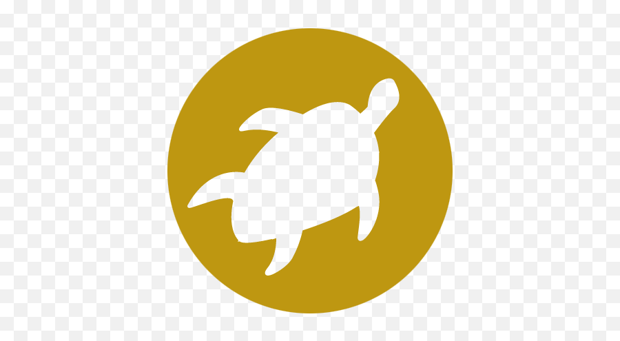 Turtle - Icon Amsant Fin Png,Turtle Icon Png