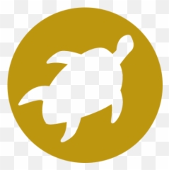 Turtle - Icon AMSANT Fin png