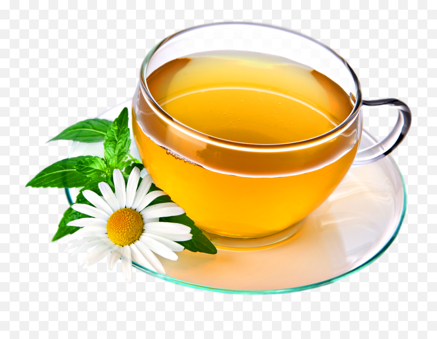 Tea Cup Png Photos - Cup Of Herbal Tea,Tea Cup Png
