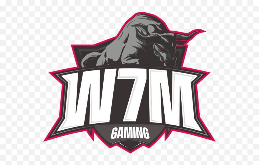 W7m Gaming - Liquipedia Fortnite Wiki W7m Gaming Png,Fortnite Youtube Logo