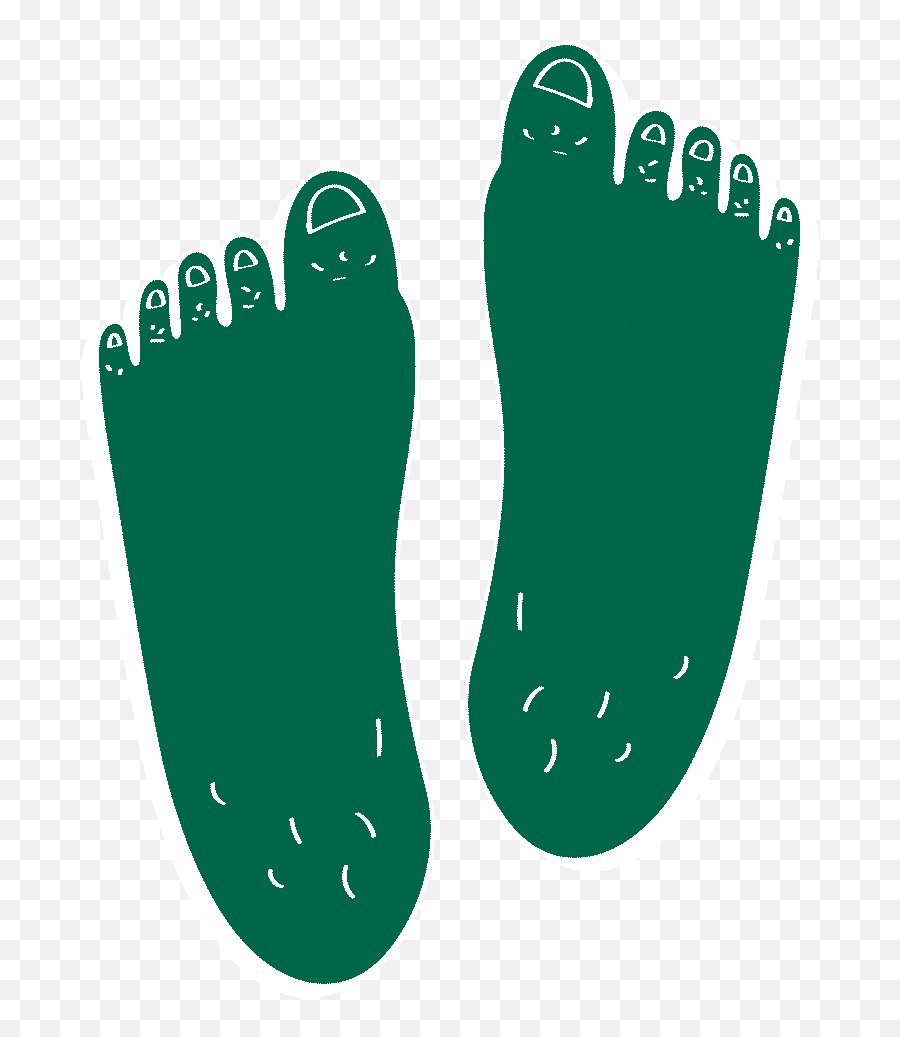 Foot Facts Wiivv - Illustration Png,Feet Transparent