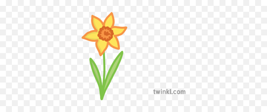 Spring Daffodil Flower All About Me Emoji Worksheet English - Susan Png,Flower Emoji Png