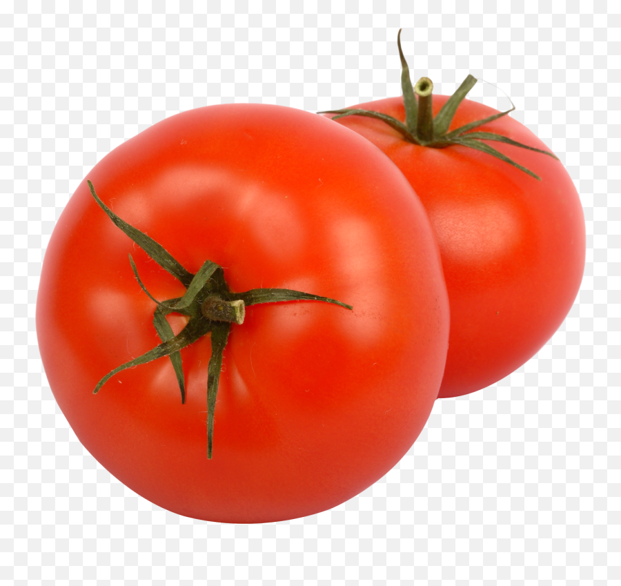 Two Juicy Tomato Png Image For Free - Fresh Tomato Transparent Background,Tomato Transparent