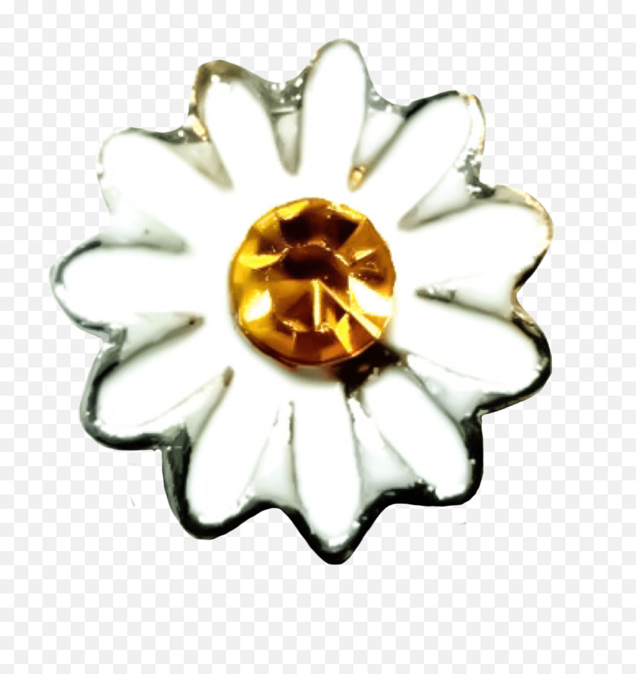 Free Photo White Daisy - Bloom Blossom Daisy Free Lovely Png,White Daisy Png