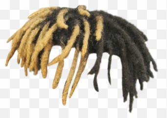 Xxxtentacionu0027s Dreadlocks Xxxtentacion Ripxxxtentacion - Xxxtentacion Hair Png,Xxxtentacion Png