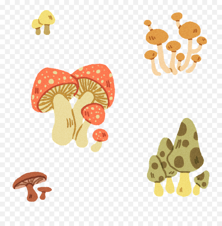 Little Mushrooms Sticker - Wild Mushroom Png,Mushroom Transparent