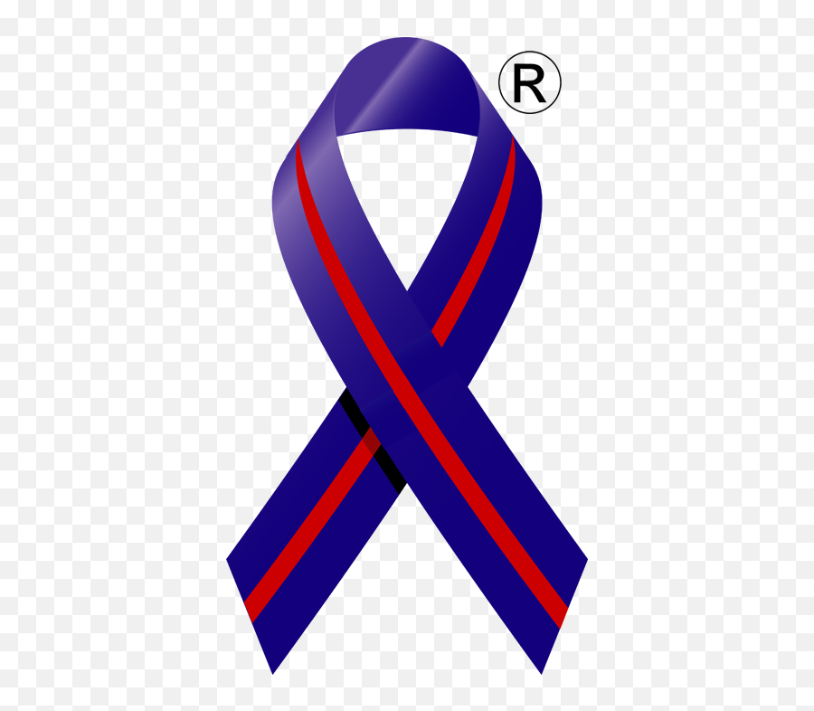 Download Veterans Awareness Ribbon - Veterans Awareness Ribbon Png,Veteran Png