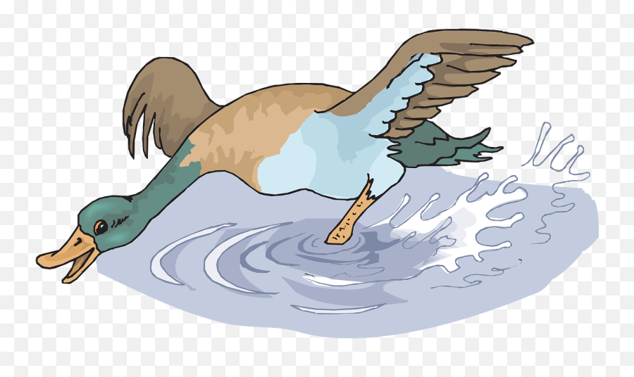 Happy - Duck Splashing In Water Cartoon Png,Water Splashing Png