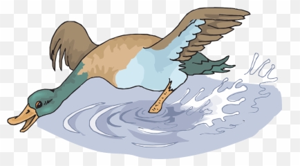 Happy - Duck Splashing In Water Cartoon png