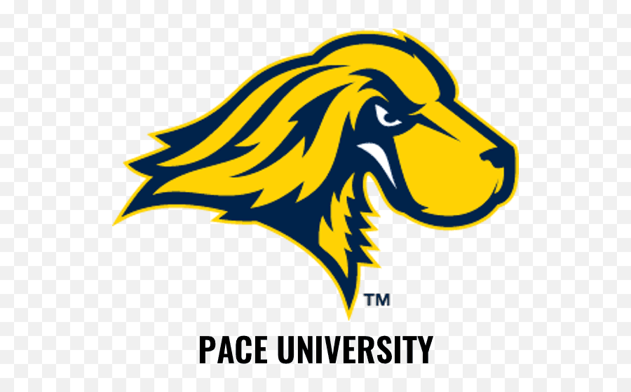 The Clubhouse - Pace University Mascot Setter Png,Fairfield U Logo