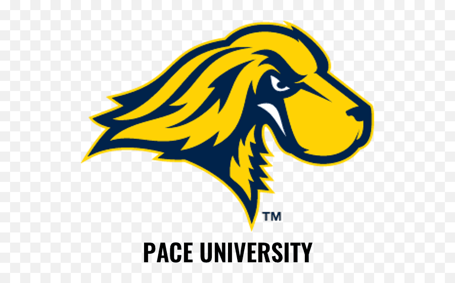 The Clubhouse - Pace University Mascot Setter Png,Fairfield U Logo ...