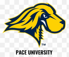 The Clubhouse - Pace University Mascot Setter png