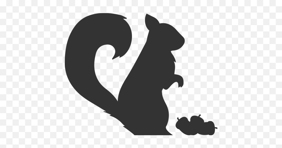 How To Take Care Of A Baby Squirrel Wwwwhatdosquirrelseatorg - Silhouette Of Woodland Animals Png,Sqrl Logo