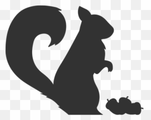 How To Take Care Of A Baby Squirrel Wwwwhatdosquirrelseatorg - Silhouette Of Woodland Animals Png,Sqrl Logo