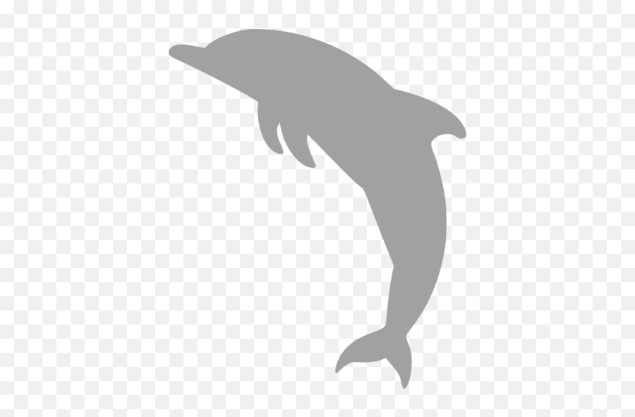 Dolphin 02 Icons - Iconos De Delfin Png,Dolphin Icon
