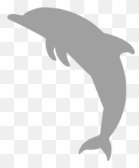 Dolphin 02 Icons - Iconos De Delfin Png